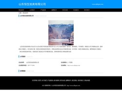 山东恒生拍卖有限公司