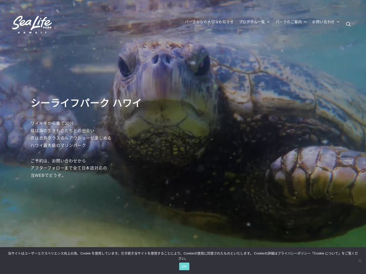シー ライフ パーク ハワイ | ハワイ最大級の体験型マリンパーク。ご予約はアフターフォローも全て日本語対応の当WEBで