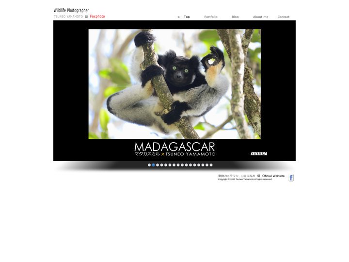Wildlife Photographer 山本つねお officialsite - Foxphoto / Top