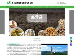 贵州省贵福菌业发展有限公司_菌包批发_食用菌加盟_食用菌代理
