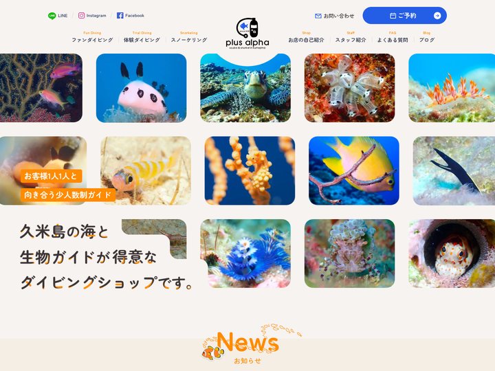 沖縄久米島の少人数制ダイビングショップ プラスアルファ