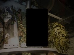 脳内博覧会 PLAYLIST