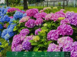 瀬谷本郷公園 - 公式サイト