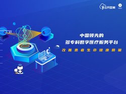 云开亚美