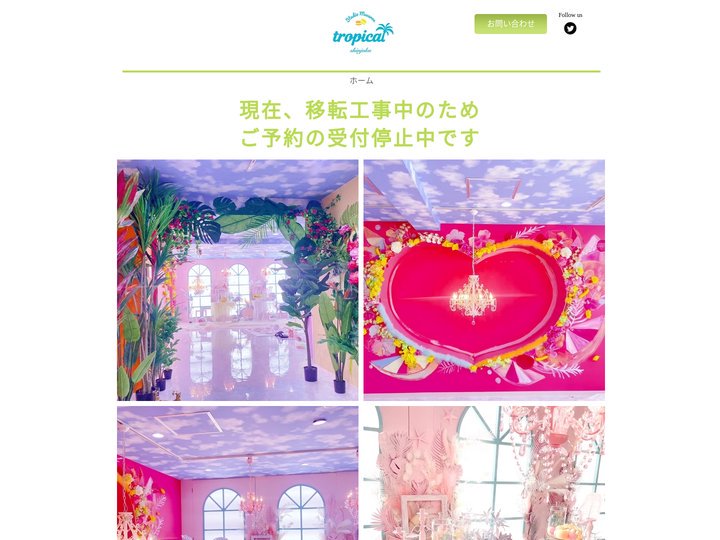 撮影 | Studio Macaron -tropical- | 新宿区