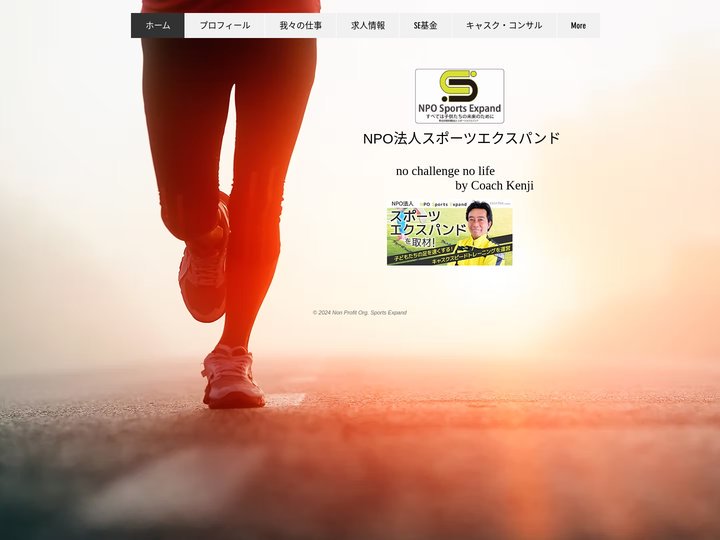 ホーム | 特定非営利活動法人スポーツエクスパンド