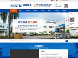 不锈钢轴承-陶瓷|塑料|包胶滑轮|带座|直线|平面轴承-东莞市肯铁轴承有限公司