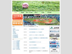 一般財団法人日本リトルシニア中学硬式野球協会