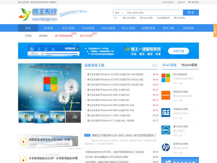 鹰王技术系统_最新win10纯净系统_win11纯净系统下载-鹰王系统下载