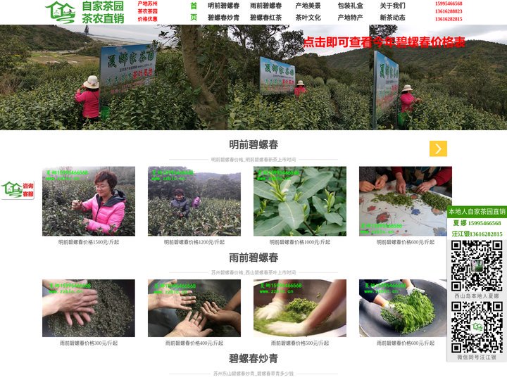苏州碧螺春_洞庭碧螺春_碧螺春价格_西山碧螺春_正宗碧螺春茶叶