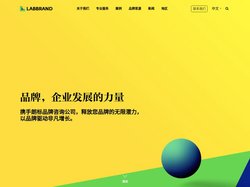 朗标｜全球品牌咨询公司 - 命名｜调研｜策略｜设计｜体验