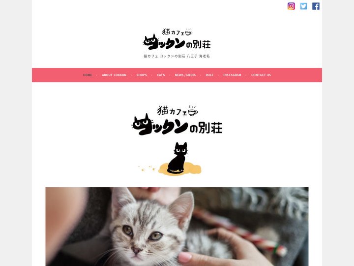 猫カフェ コックンの別荘 | 町田 八王子 海老名