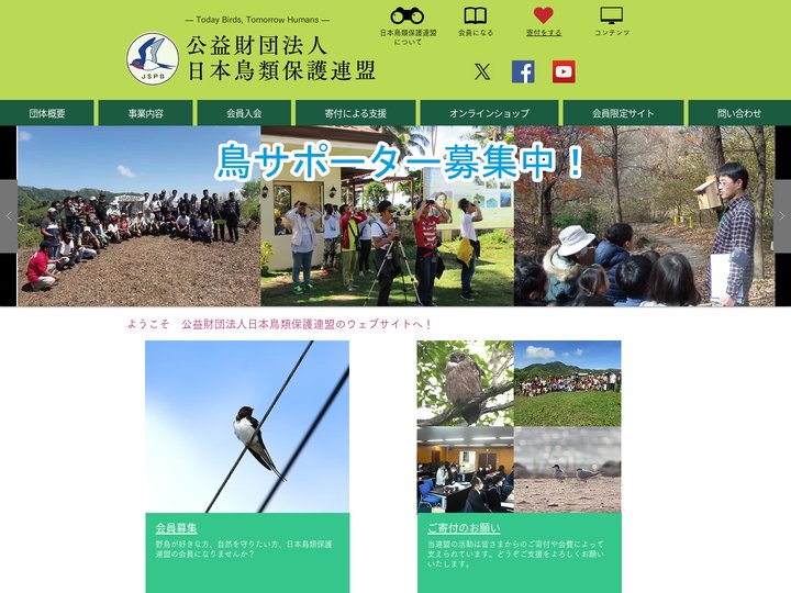 ホーム | 公益財団法人 日本鳥類保護連盟