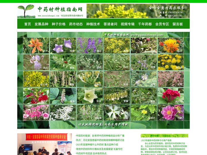 中药材种植指南网 — 最新中药材种子价格产值表