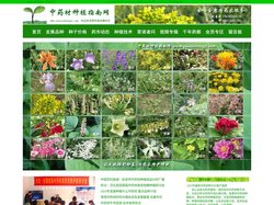 中药材种植指南网 — 最新中药材种子价格产值表