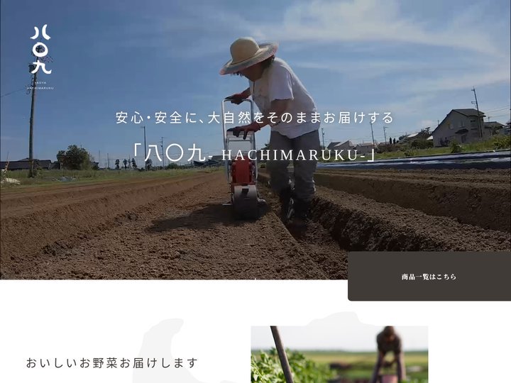 八〇九- HACHIMARUKU-