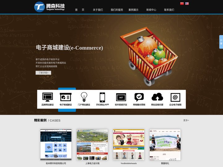 腾森科技 - 桐乡地区最专业的信息化服务提供商 - 腾森科技 桐乡网站建设 桐乡网页制作 桐乡软件开发 桐乡电子商城建设