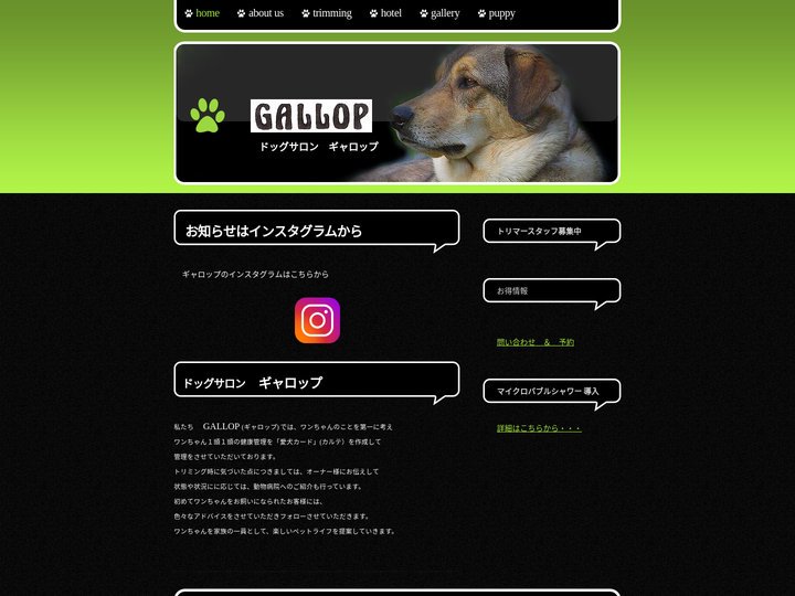 ドッグサロン滋賀県大津市 ギャロップ　*トップページ