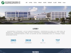 浙江锋龙电气股份有限公司【官网】