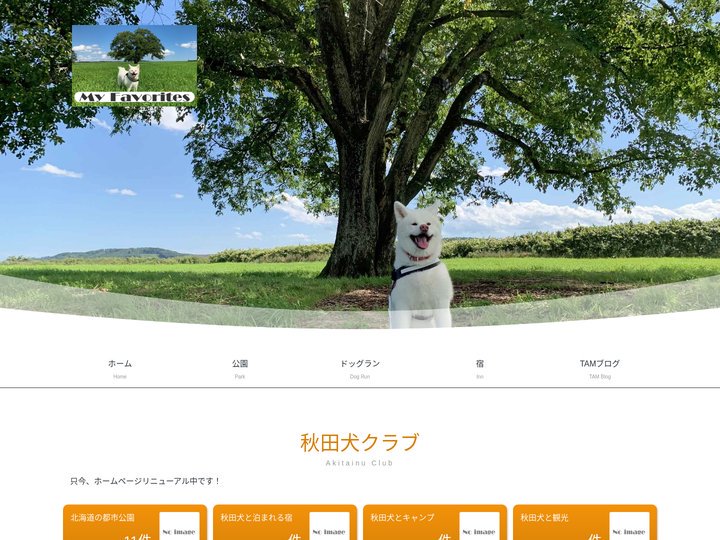 秋田犬クラブ / Akita Inu Club
