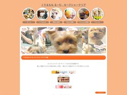 くり&もも るーむ - ヨークシャーテリア 札幌 里親 愛犬 ヨーキー 飼い方 子犬
