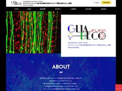 学術変革領域研究(A)令和2年度～令和6年度 グリアデコーディング：脳-身体連関を規定するグリア情報の読み出しと理解(研