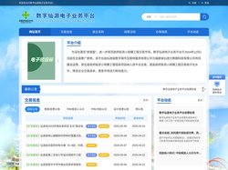 数字仙游电子业务平台