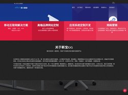 新宝GG_新宝GG平台
