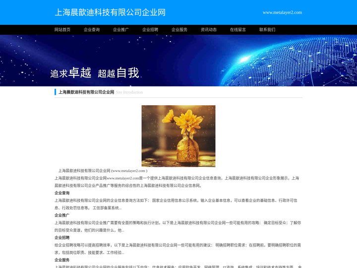 上海晨歆迪科技有限公司企业网_上海晨歆迪科技有限公司企业信息查询_上海晨歆迪科技有限公司企业服务网