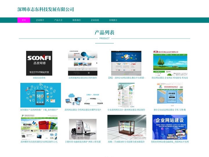 深圳市志东科技发展有限公司 深圳网站建设 深圳网页开发