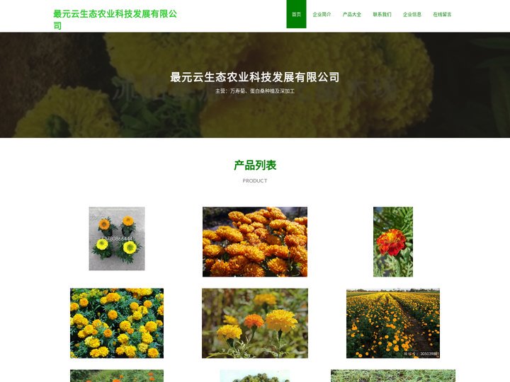 万寿菊、蛋白桑种植及深加工、最元云生态农业科技发展有限公司