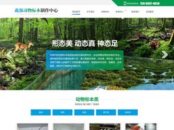 动物标本制作加工,山东动物标本制作-淄博淼源动物标本制作中心