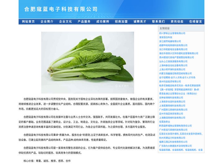 合肥寇蓝电子科技有限公司