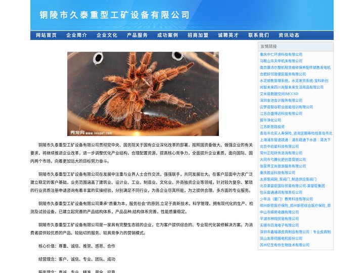 铜陵市久泰重型工矿设备制造有限公司