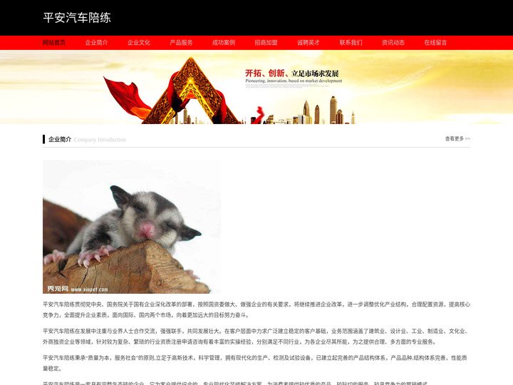 平安汽车陪练