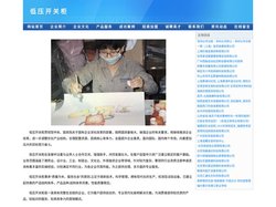 公司专业设计、生产、销售1OKV、35KV电力变压器；各种型号高、低压开关柜等