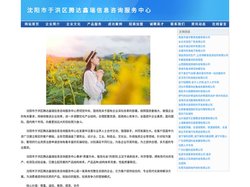 沈阳市于洪区腾达鑫瑞信息咨询服务中心