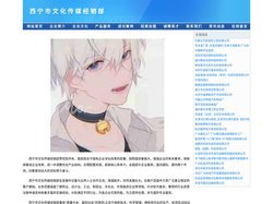 西宁市文化传媒经销部
