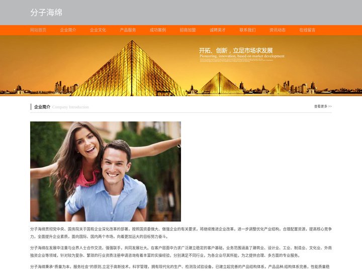 分子海绵