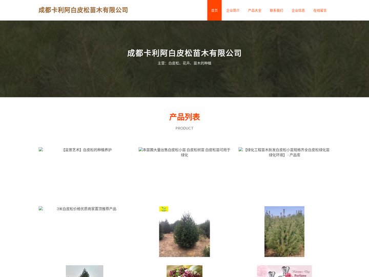 成都卡利阿白皮松苗木有限公司，白皮松，花卉，苗木的种植