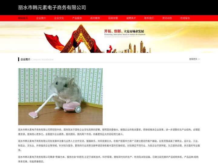 韩元素-丽水市韩元素电子商务有限公司