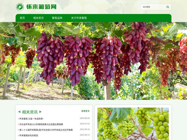 怀来葡萄 - 中国葡萄之乡 【怀来葡萄网】