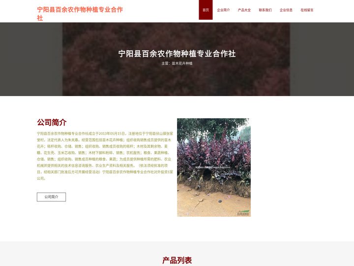 苗木花卉种植_宁阳县百余农作物种植专业合作社