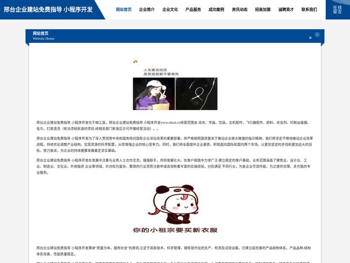 邢台企业建站免费指导 小程序开发