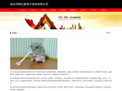 韩元素-丽水市韩元素电子商务有限公司