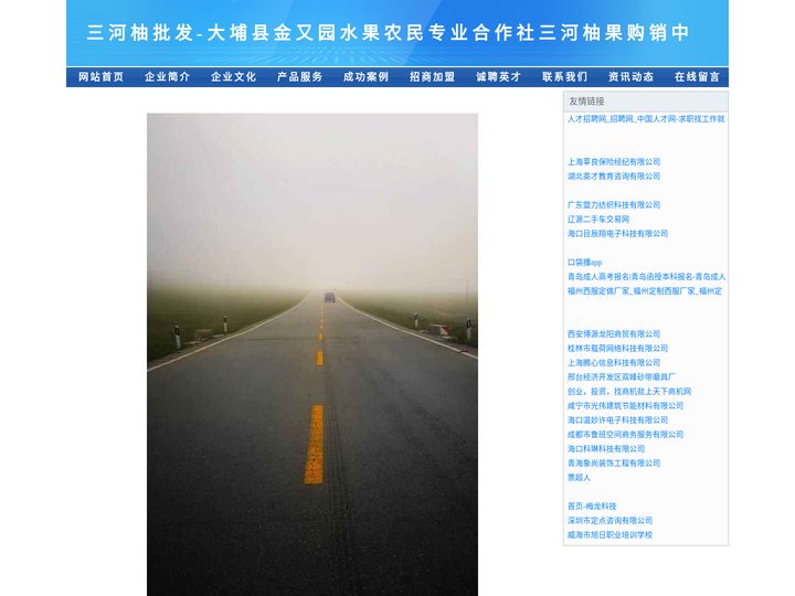 三河柚批发-大埔县金又园水果农民专业合作社三河柚果购销中心