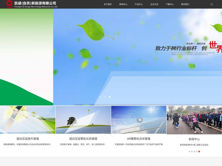 凯盛（自贡）新能源有限公司