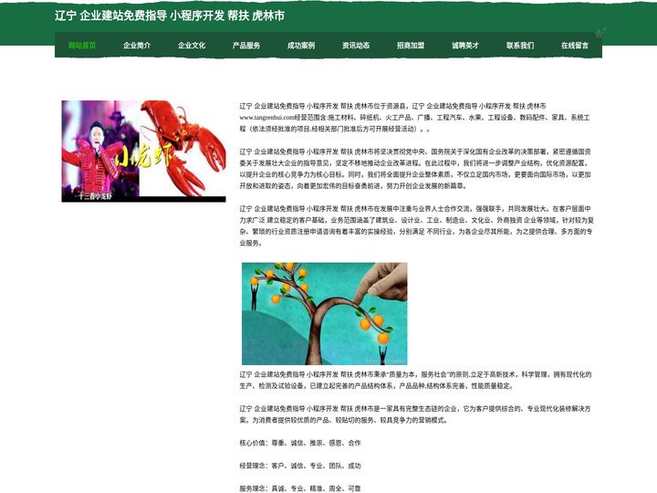 辽宁 企业建站免费指导 小程序开发 帮扶 虎林市