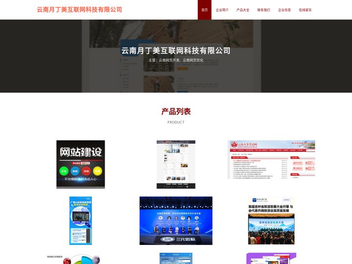 云南网页开发-云南网页优化-云南月丁美互联网科技有限公司
