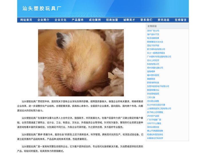 汕头市澄海区佳辉塑胶玩具厂